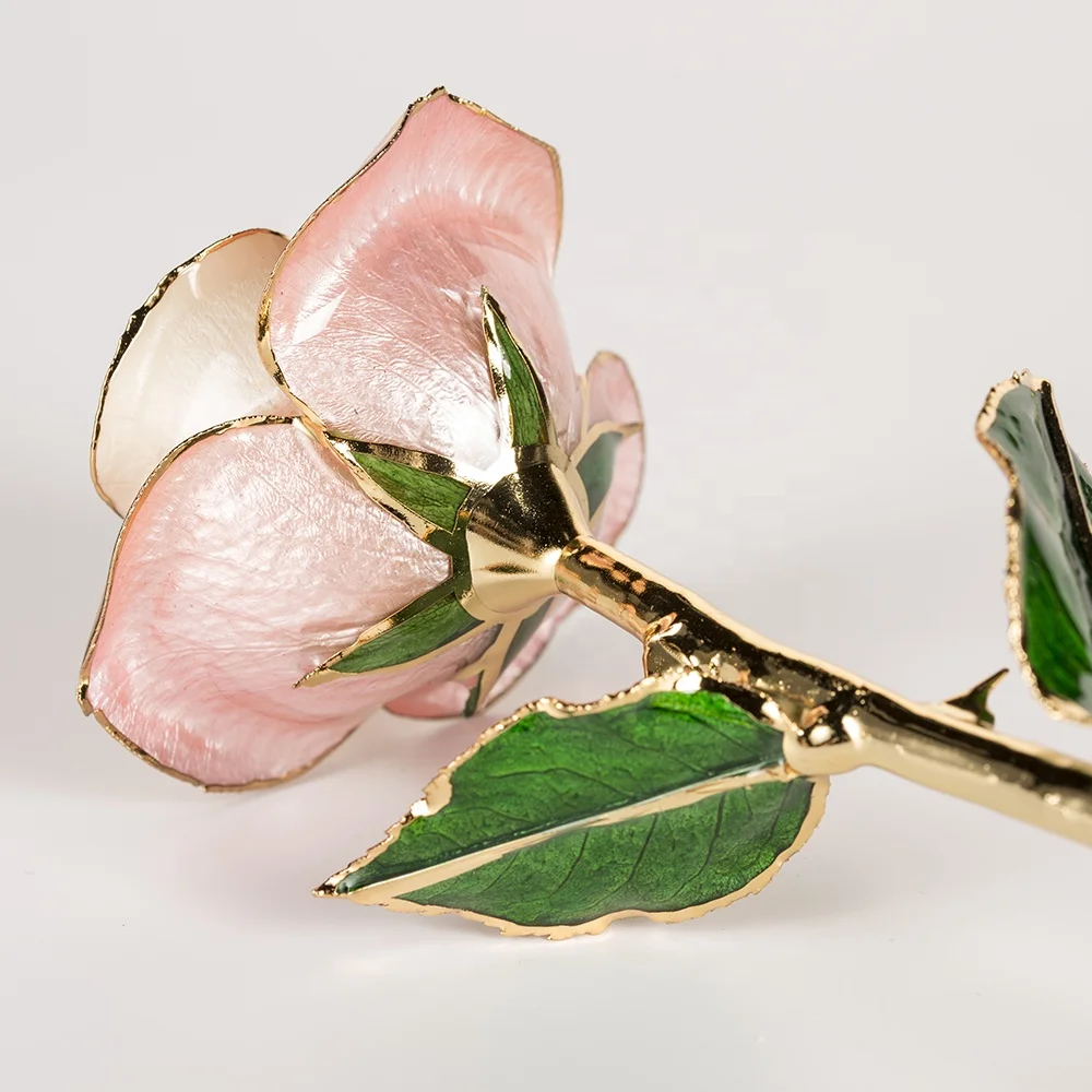 2020 Upgraded 24K Gold Dipped and Trimmed Real Preserved Fresh Eternal Rose Flower wholesale preserved roses factory