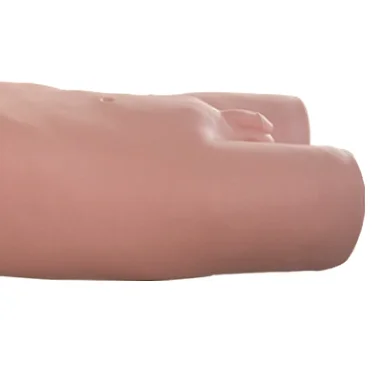 ADA Medical Teaching Lymph Node Puncture Training and Assessment Model and Maxillary Sinus Puncture Training Model