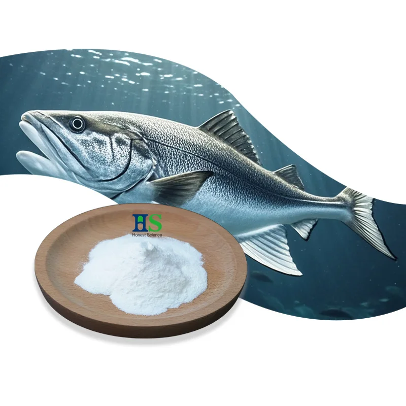 Collagen Type I fish collagen peptide powder fish collagen powder