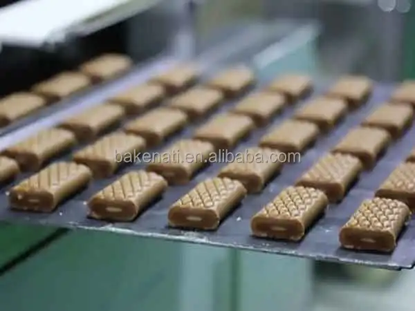 High Productivity Fig Bars Machine Encrusting Machine Date Bar Making Machine For Factory