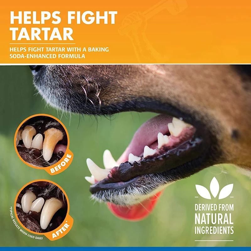 Private Label Tartar Control Fresh Breath Mouth Teeth Cleaning Oral Spray For Dogs Dog Spray