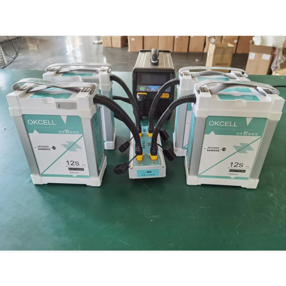 Зарядное устройство Okcell для литиевых аккумуляторов 12S 14S 2400 Вт 25