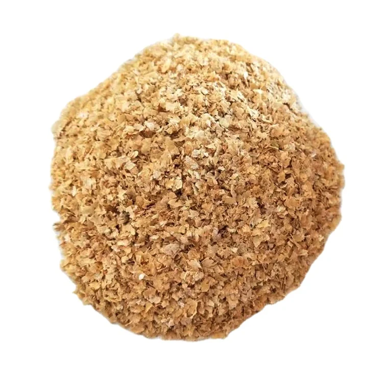 Wholesale Top Grade Organic Whole Wheat Grain For Sale In Cheap Price from Texas Port