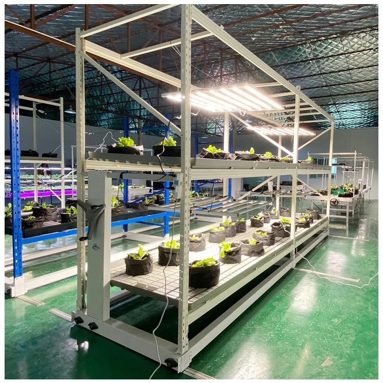 vertical farming container pipp vertical mushroom cultivation growing racks