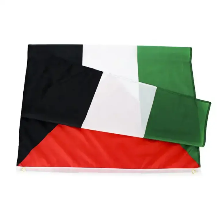 Customized Inventory Stock Polyester 90 x 150 Ceremonial Palestine Flag Promotional Flags Banners For Marketing