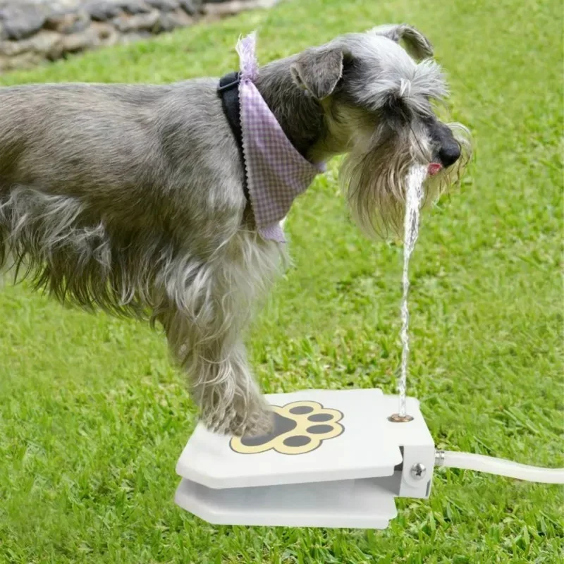 eco friendly pet  push pedal water feeder bowl automatic  sponge dog stop Water fountain