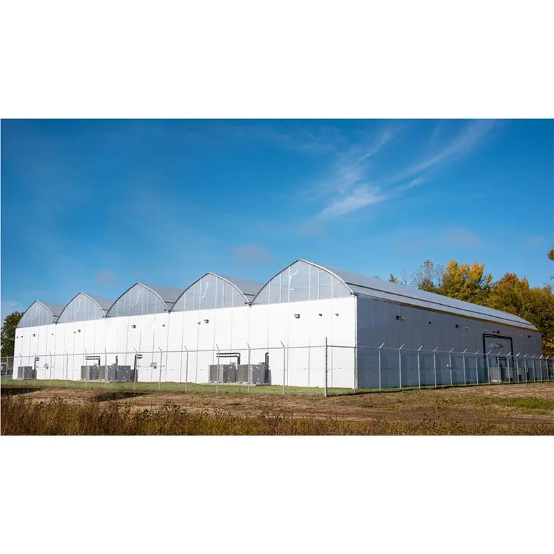 Seepoem farm Mushroom growing greenhouses commercial light dep hoop house