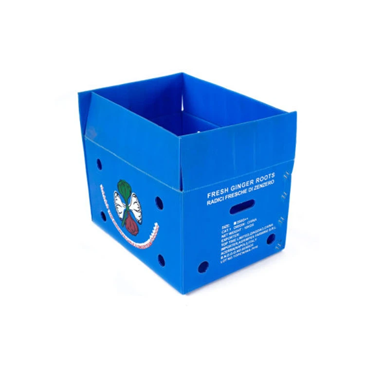 Customized PP Plastic Hollow Corrugated Box
