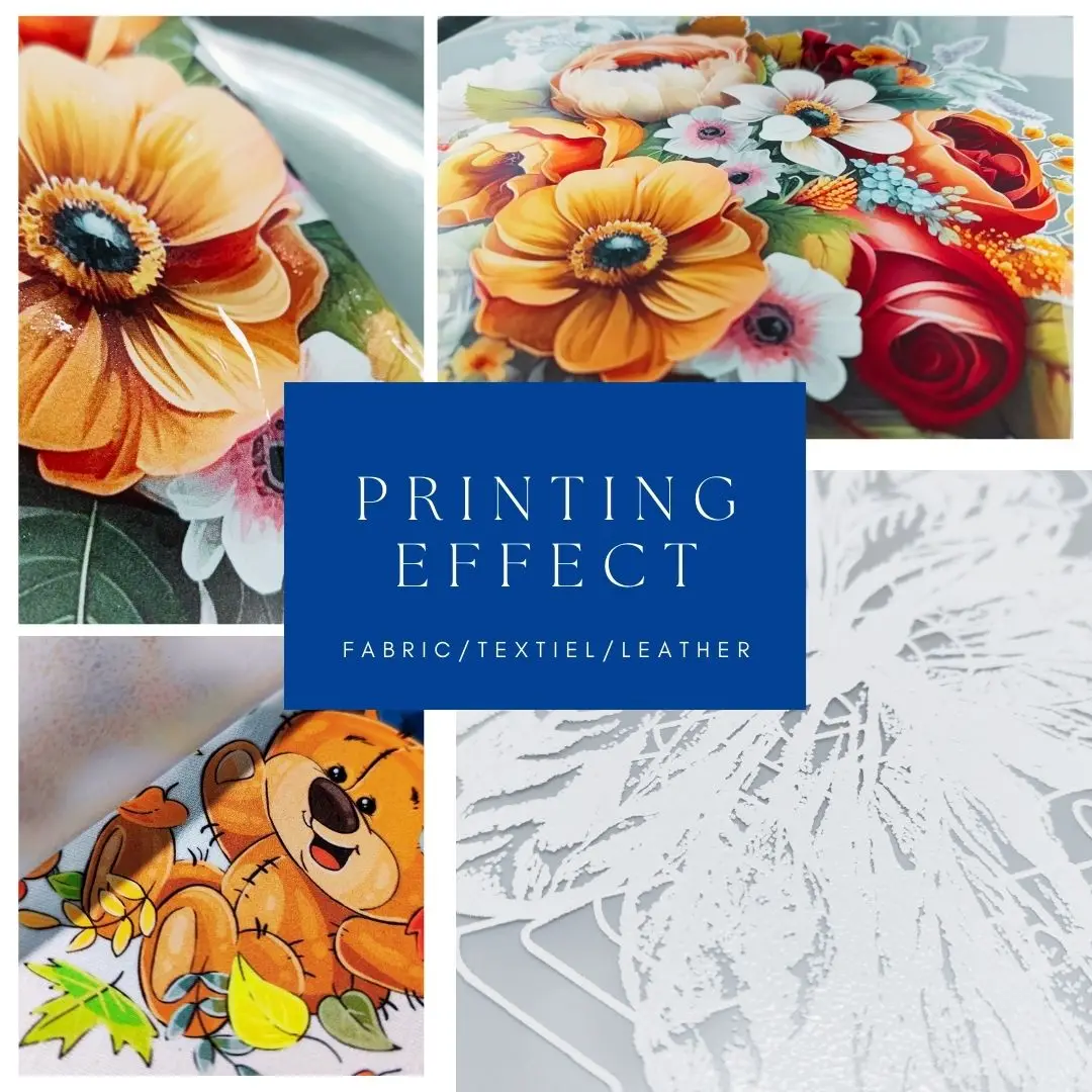 Reizjet Desktop Impressora Inkjet A4 DTF Printer Industrial T Shirt Mini LOGO Printing Machines For Small Business At Home