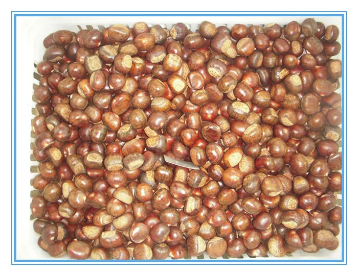 fresh chestnuts-5