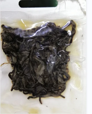 Wholesale hot sell high protein nourishing fresh earthworms for animal food feed pet food