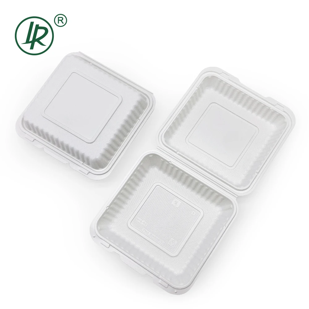 Biodegradable Disposable Meal Box Eco Friendly Microwavable Tray 9 Inch Restaurant Food Plates