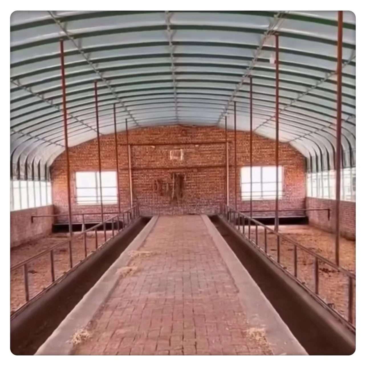 High Quality Large Scale Agricultural Greenhouse Double Layer Square Design Galvanized Steel Frame Glass Shading Animal Breeding