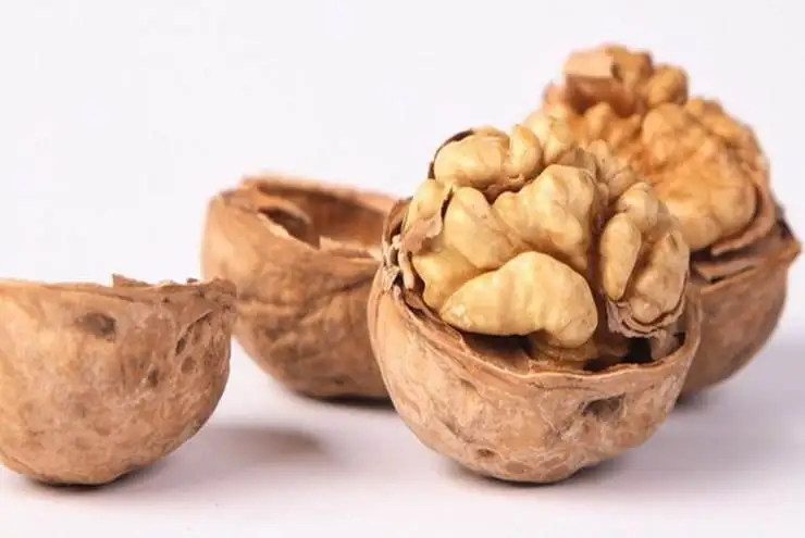 Chinese Walnut Price Hot Sale