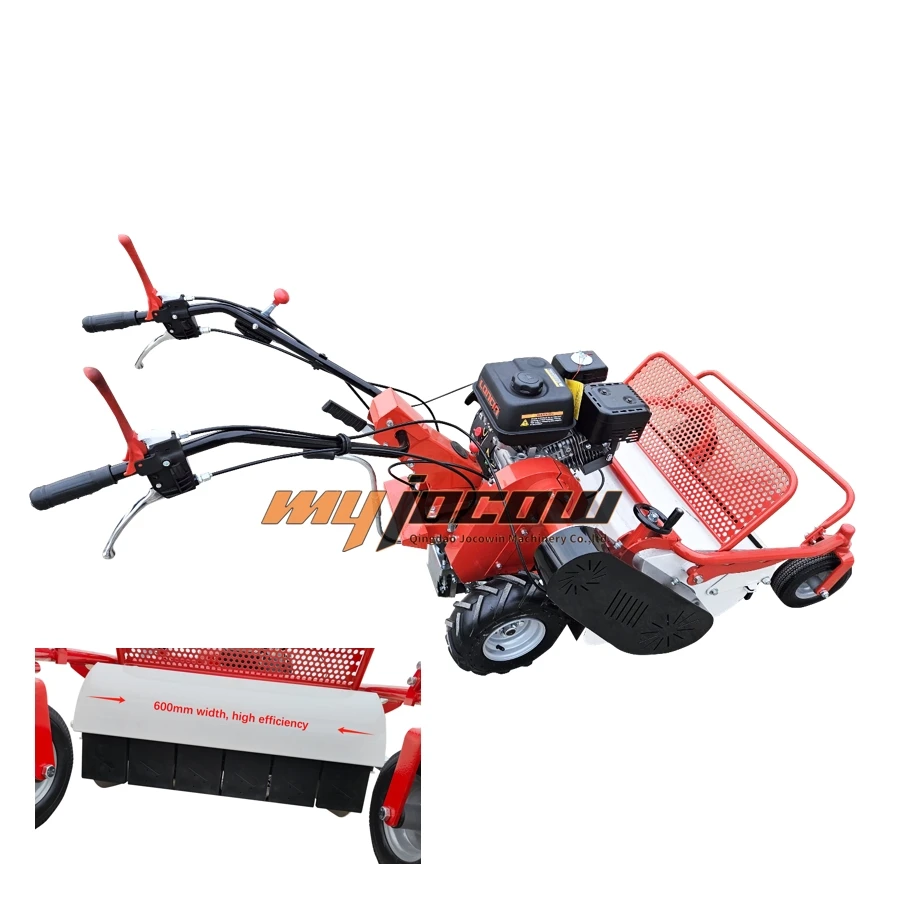 Gasoline Engine Lawn Mower Hand-Push Self- Propelled Petrol Grass Cutter for Sale