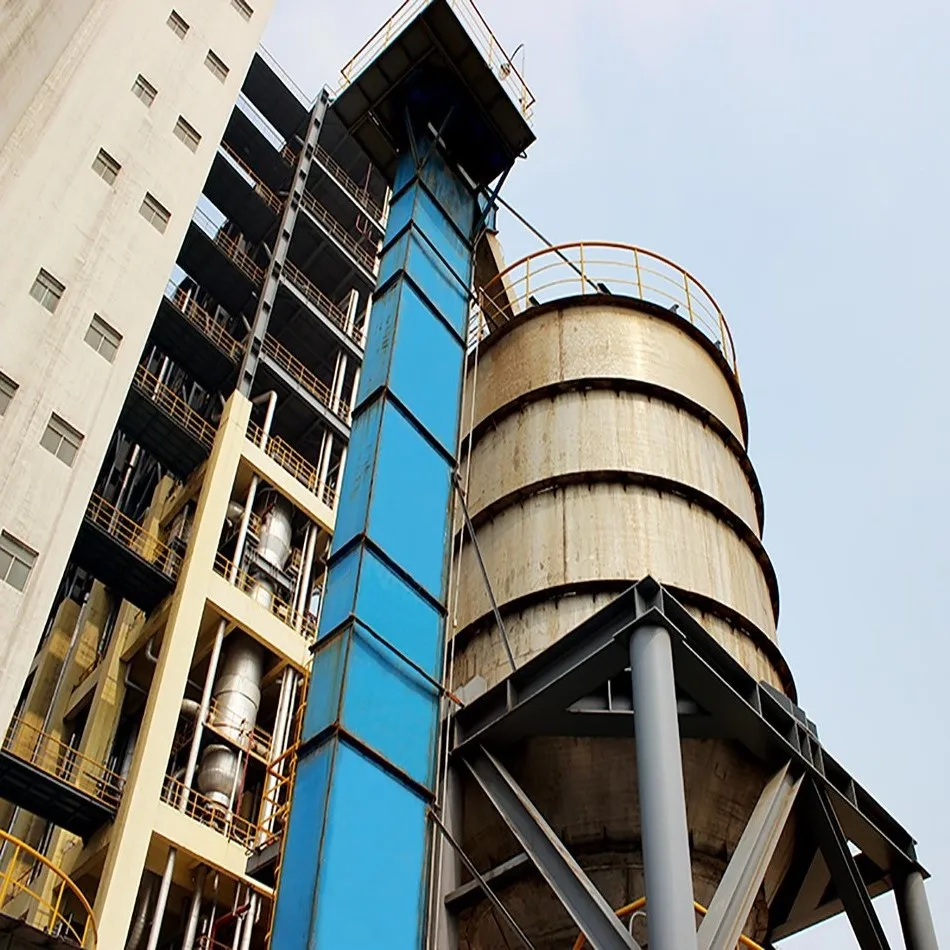 DTG 20/11 bucket elevator/ rice elevator for rice mill plant