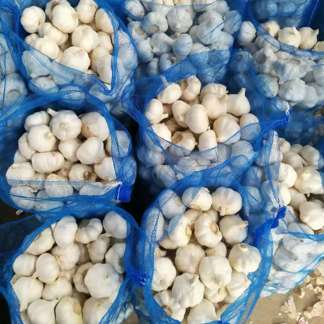 Хорошее качество Ajos Super Blanco чеснок свежий китайский