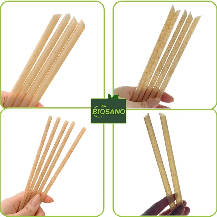 BIOSANO 6mm 8mm 10mm 12mm Sugarcane Bagasse Straws Biodegradable Plastic Free Eco-Friendly Compostable Drinking Shakes Straw