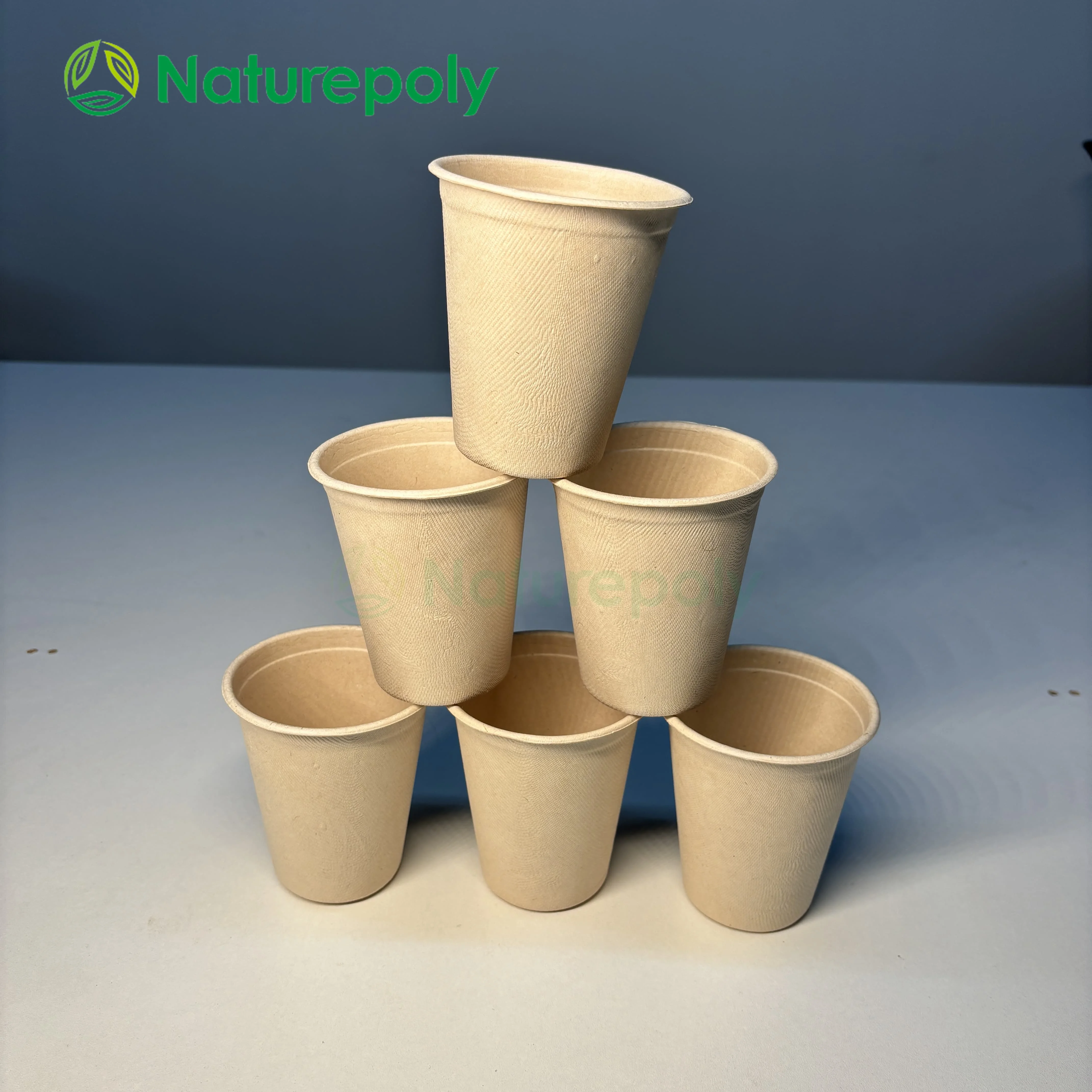 Disposable Bamboo Fiber Cup Custom Logo PLA Cotated Biodegradable Cup with Lids