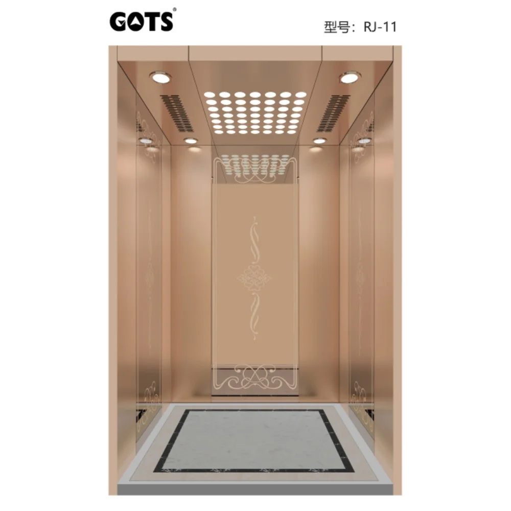 GOTS good quality Otis elevator home hole passenger elevator cheap price elevator