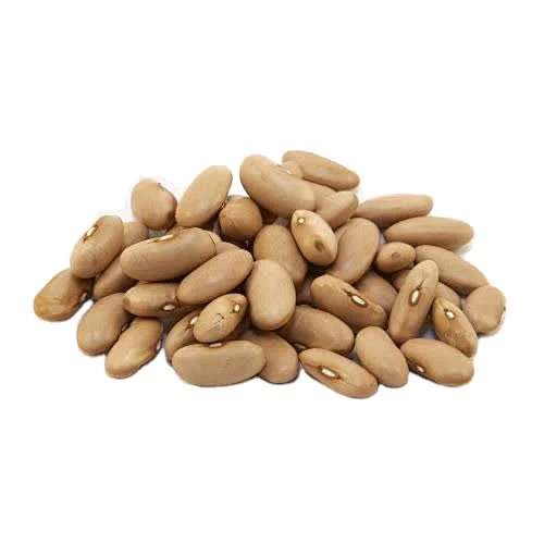 Custom canned food Good quality and cheap fresh dried broad beans canned