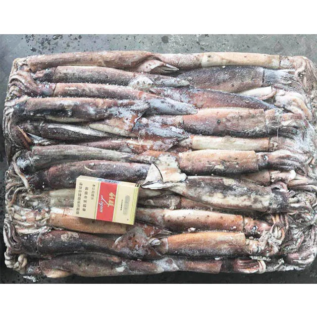 Замороженный кальмар Todarodes Pacificus