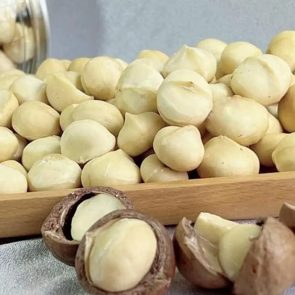 Размер 29-35 конкурентоспособная цена орехи макадамия высокого качества орехи макадамия из Китая