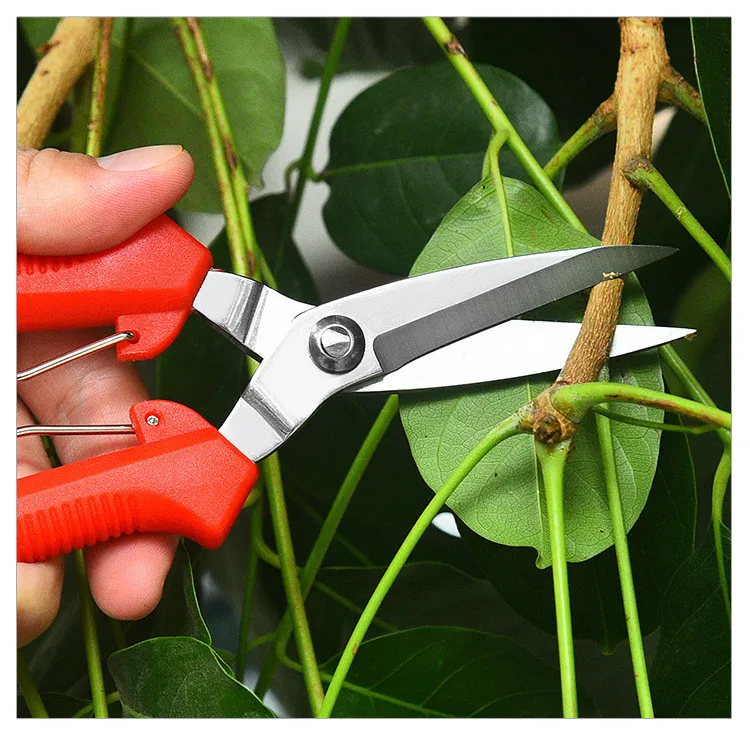 Mini Gardening Grape Tree Pruner Pruning Stainless Steel Blade Garden Flower Shears Scissors