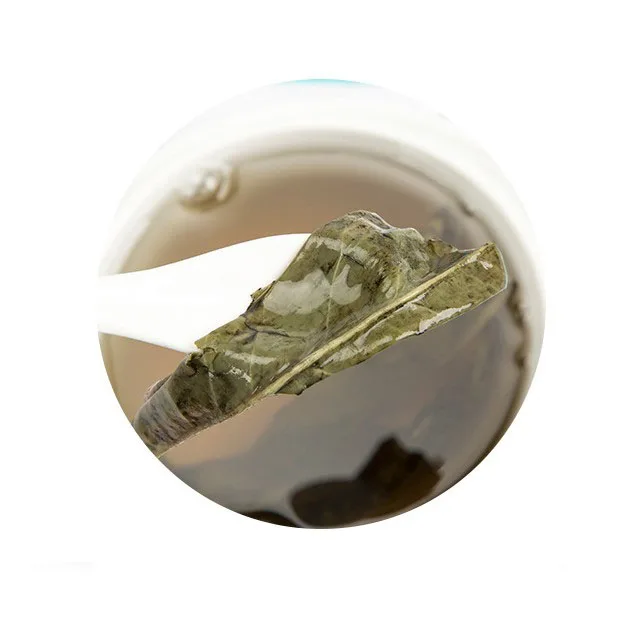 ptivate label Chinese Ku Ding herbal  Holly Leaf Broadleaf  tea