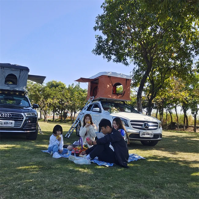 Hot Sale Outdoor Camping Car Roof Top Tent Hard Shell