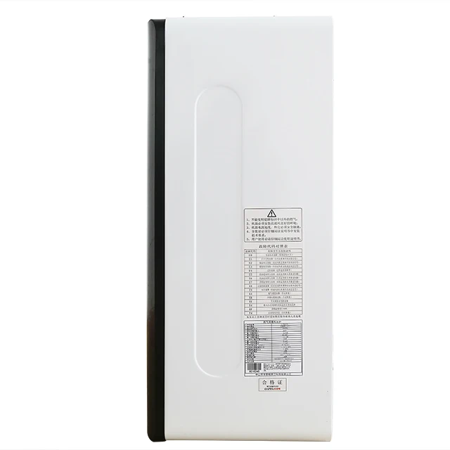 24 KW Household Combi Wall Hung Condensing Natural Gas Hot Water