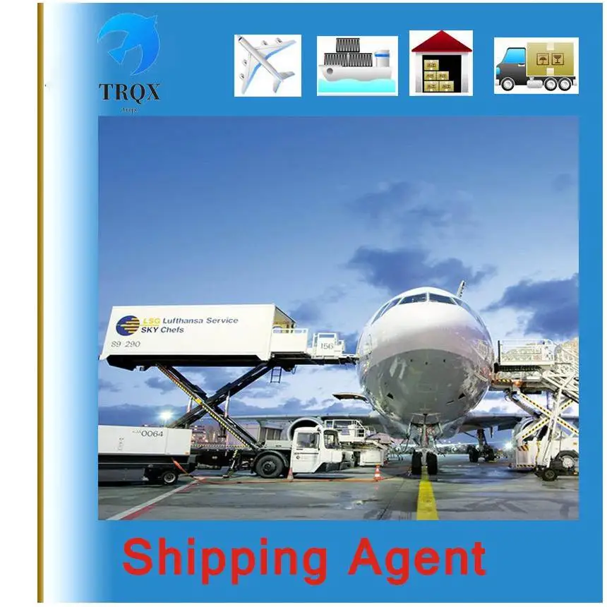 Usa Freight Forwarder Agent Products For India Service Somalia Zambia China To Pakistan To South Africa Container Shipping Agent