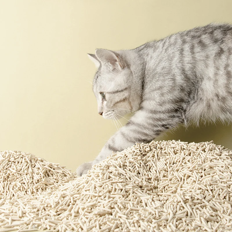 cat litter fine sand cheap bulk brands suppliers best clumping breeder select changing snow