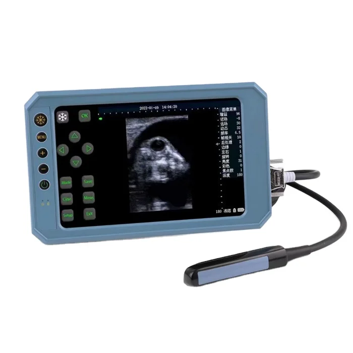 Guangzhou Cheap Portable handheld veterinary easy scan vet ultrasound machine for animal bovin equine price