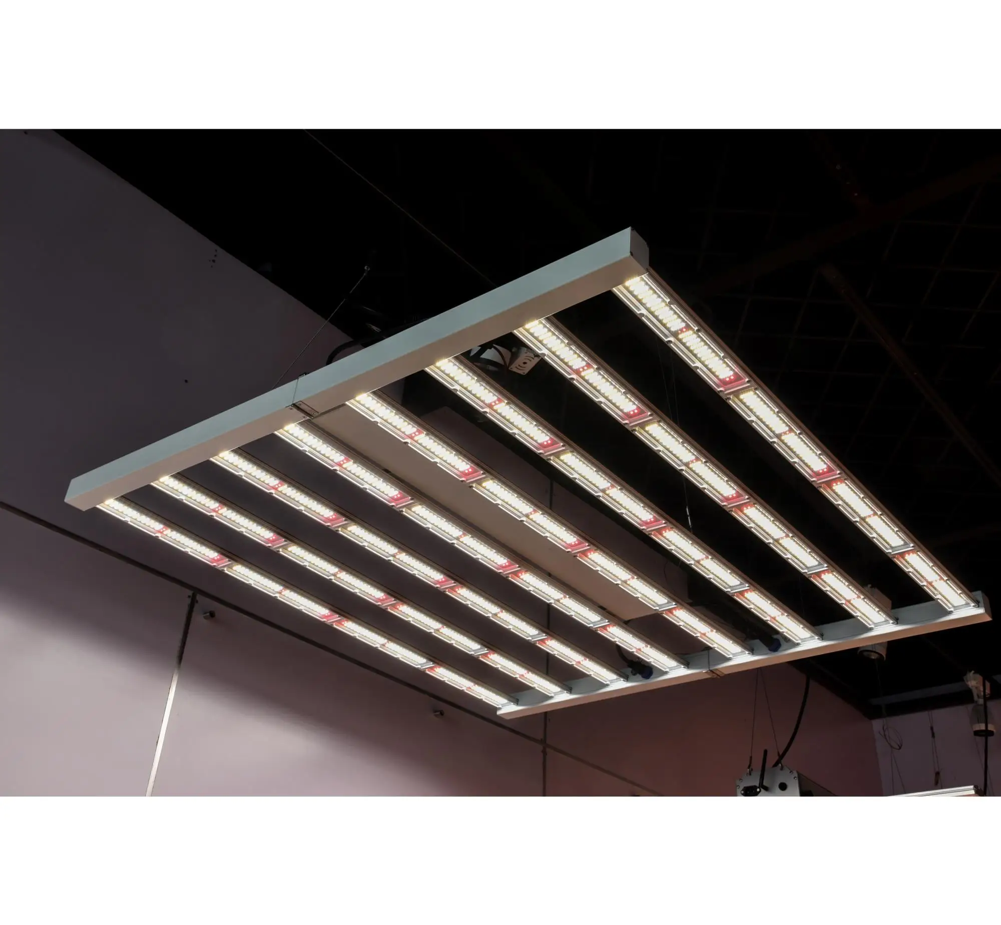 Risengreen по ограничению на использование опасных материалов в производстве 500W 750W высокий выход клубника гриб теплицы Ppe 2 7 мкмоль 640 650 700 800 1000 ватт маленький СИД Свет для