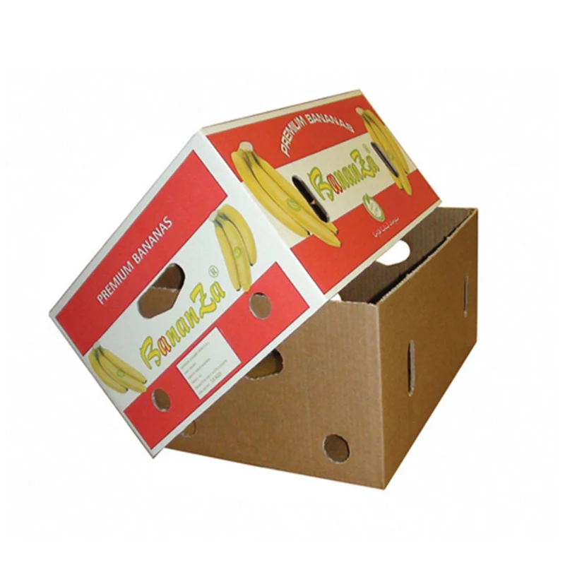 Custom Color Corrugated Folding Cherry Tomato Avocado Mango Banana Kiwi Dragon Fruit Carton Box