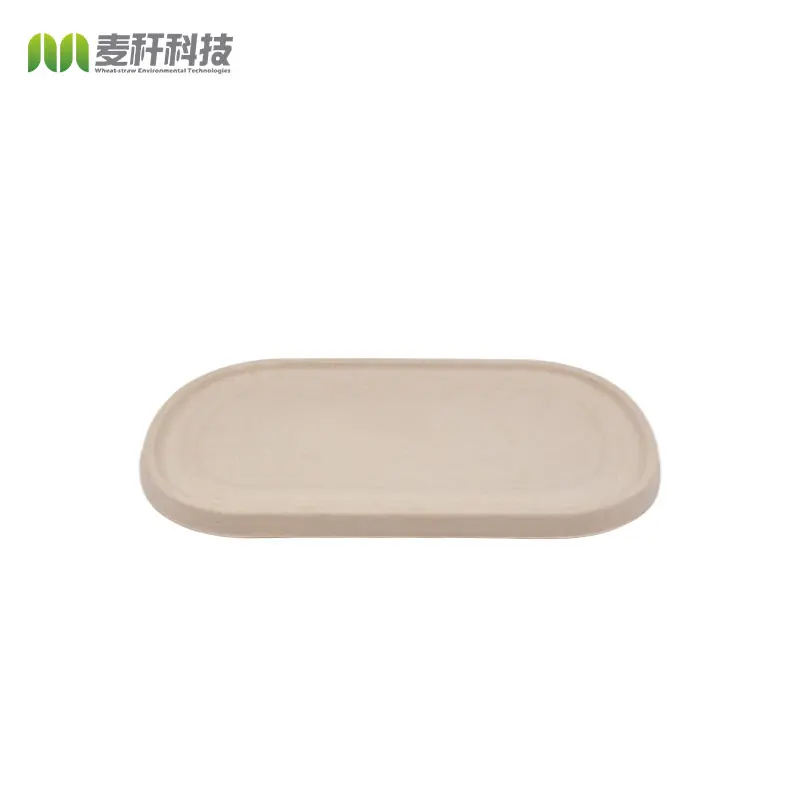 Disposable Biodegradable sugarcane bagasse pulp food container take away Lunch Box with lid