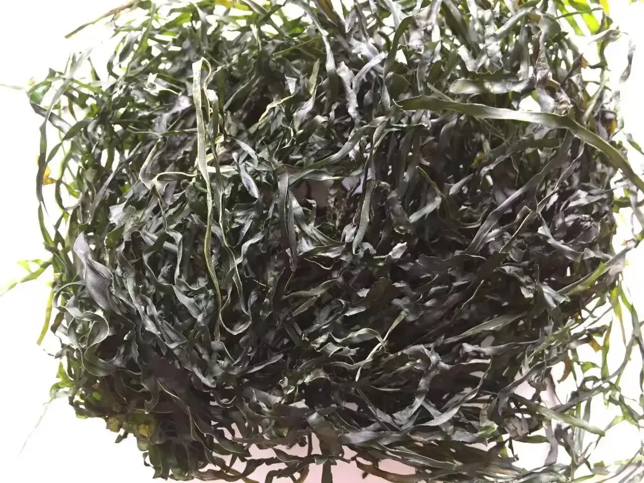 High Swelling No Sand Air Dried Sea Kelp Laminaria Japonica Sublimated Seaweed for Sale