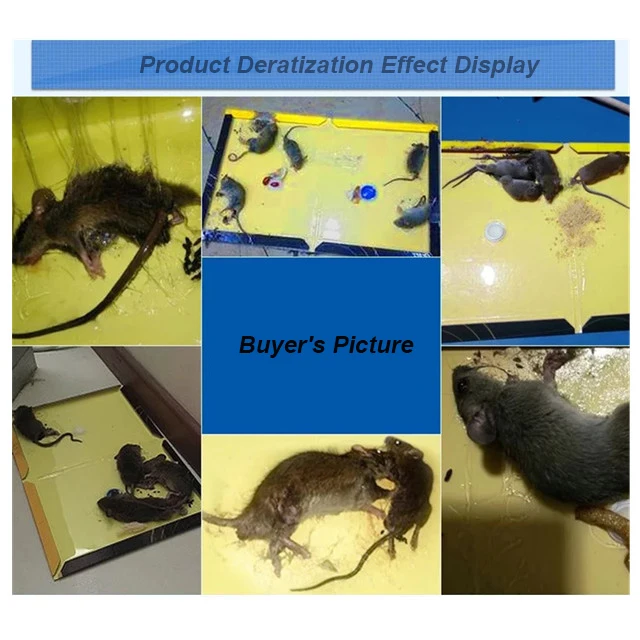 High Efficient in Family Viscid Rat Tool for Foldable Mouse Board