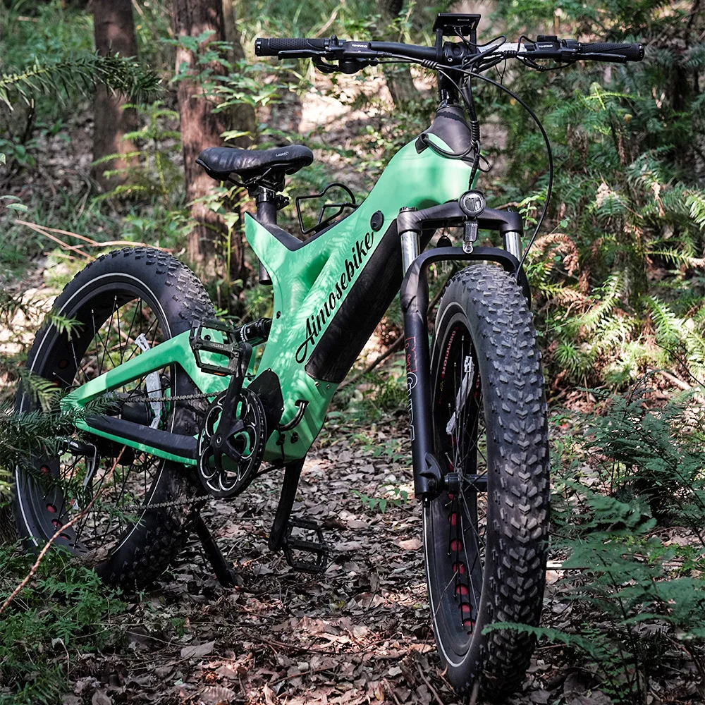 2024 Fast Carbon Fiber Fat Tire 1000w 48v Mid Motor Electric Mountain Bike Emtb Electric Bicycle