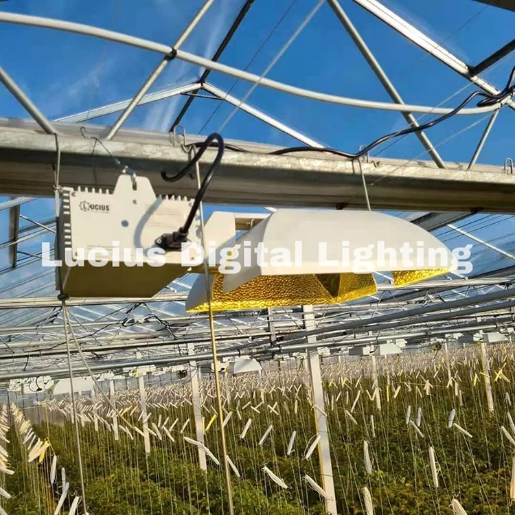 In Stock Vertical Farming Lucius 1000W Cmh Grow Light For Plants Indoor