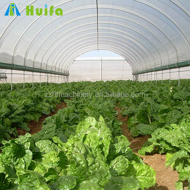Economical Plastic Vegetable Tunnel Greenhouse For Sale