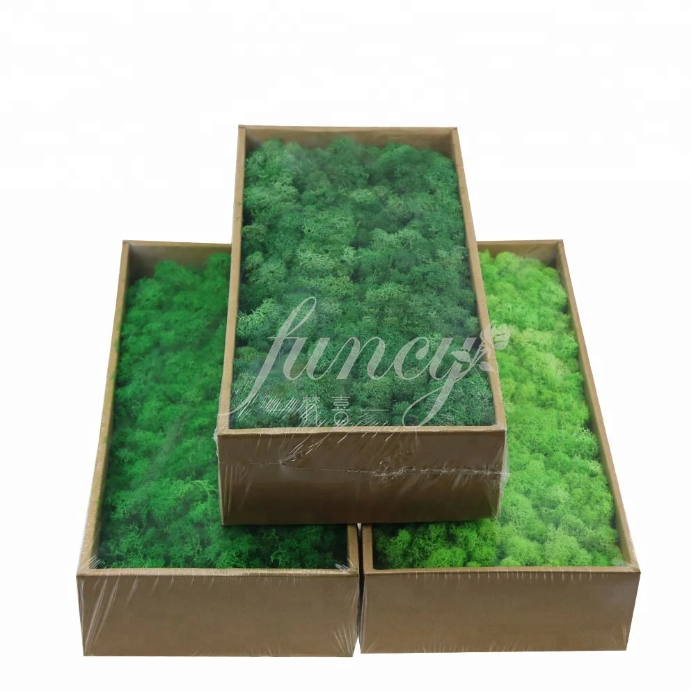 
2019 Hot Factory Wholesale Luxury Office Decoration Green Real Natural Art Frame Panel Stabilize Reindeer Wall moss stabilized 