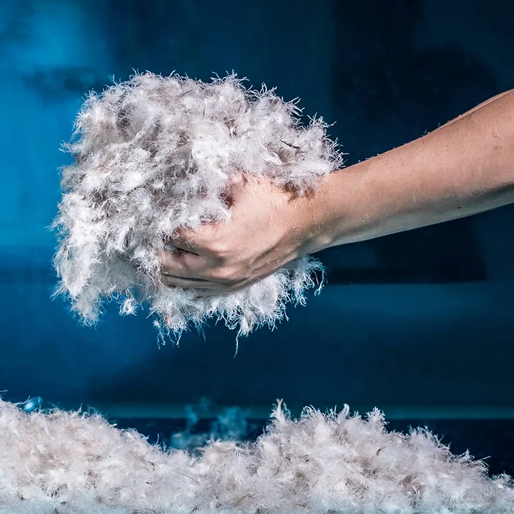 
Wholesale High Quality Washed 60% Gray Duck Down Feather Down Raw Material From China 