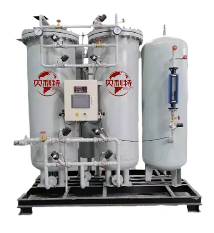 Psa Oxigen Generator Plant 60M3 50M3 40M3 20M3 30M3 5M3 20M3 10M3 Per Hour Maquina Generadora De Oxigeno Medicinal Planta Para