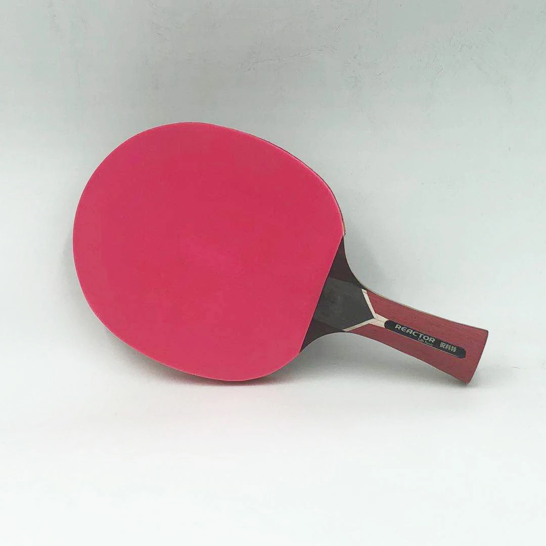 Table Tennis Paddle Professional Racket - Ping Pong Racket With Carrying Case-ITTF Approved Rubber For Tournament Play