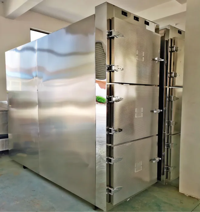 3 Corpses Mortuary Freezer Refrigerator