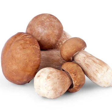 
Cheap IQF frozen boletus 