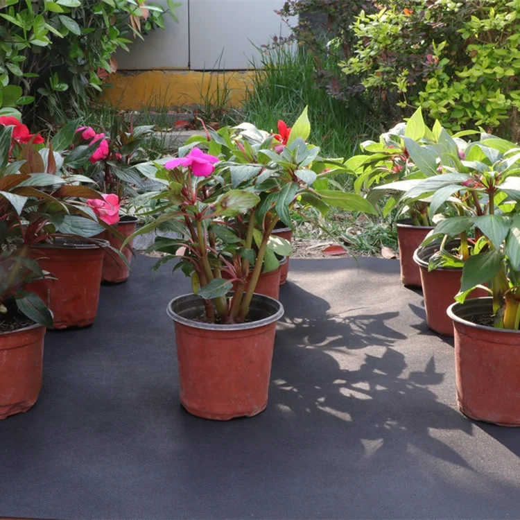 Hot Selling Agriculture 100% PP Spunbond Eco Biodegradable Breathable Anti UV Plant Cover Non Woven Weed Control Fabric In Roll