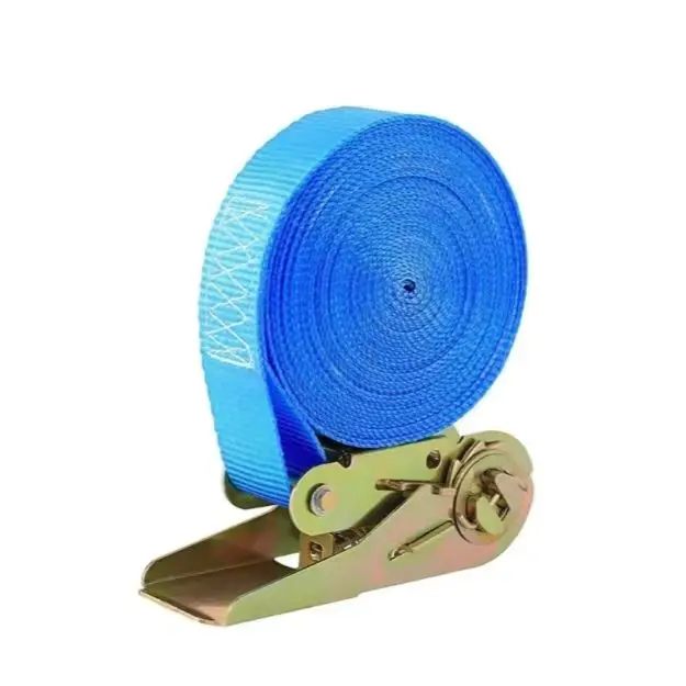 Custom Logo 1 inch 25mm 800kg Cargo Lashing Tensioner Belts Endless Ratchet Tie Down Straps